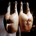 london photographic association online portfolios