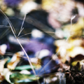 london photographic association still-life contest winner Cristina�S�EZ